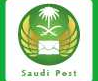 [Post da Arábia Saudita/ Post da Arábia Saudita/ Pacote de e-commerce saudita/ Grande pacote saudita/ Saudi EMS/ Pacote de comércio eletrônico da Arábia Saudita] Logo