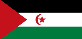 [Вестерн Сахара Пост/ Вестерн Сахара Пост/ Пакет е-трговине у Западној Сахари/ Велика парцела Западне Сахаре/ Западна Сахара ЕМС] Logo